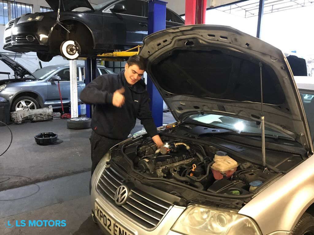 lsmotors service